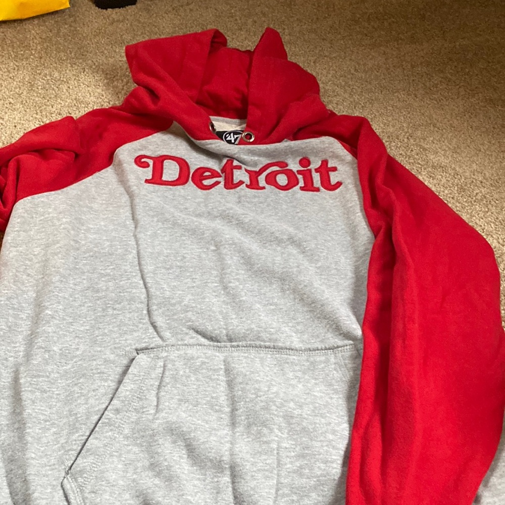 Red wings hoodie